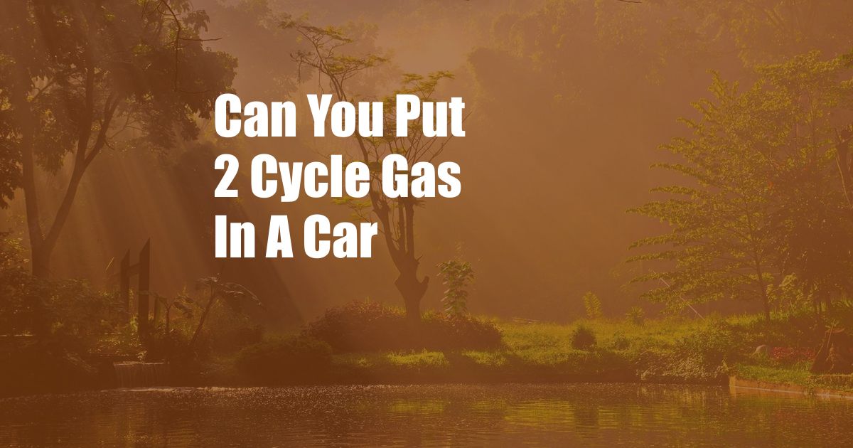 Can You Put 2 Cycle Gas In A Car