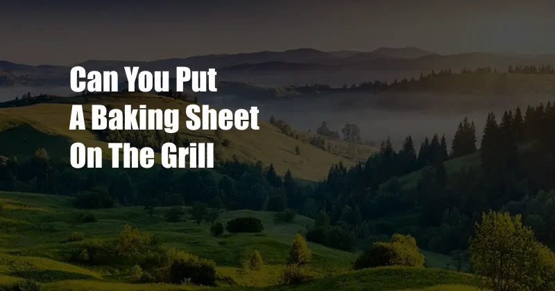 Can You Put A Baking Sheet On The Grill