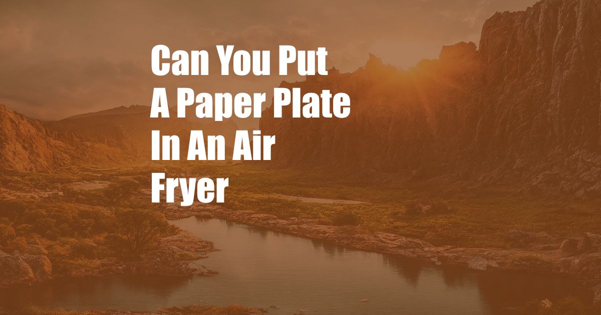 Can You Put A Paper Plate In An Air Fryer