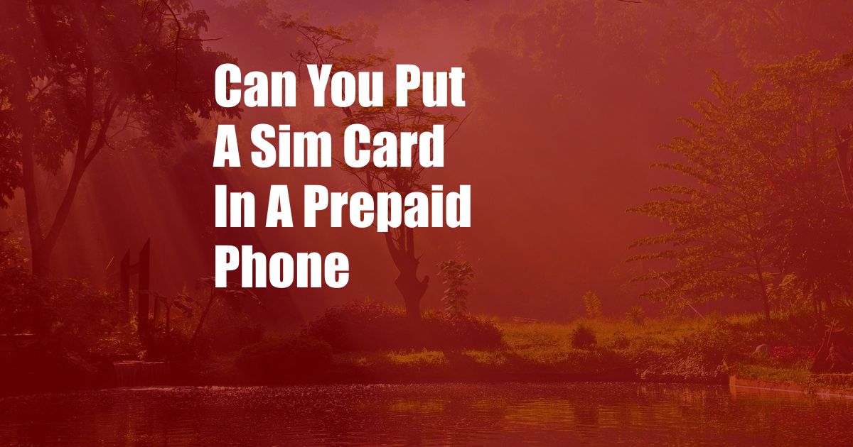 Can You Put A Sim Card In A Prepaid Phone