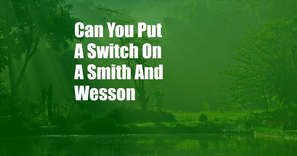 Can You Put A Switch On A Smith And Wesson