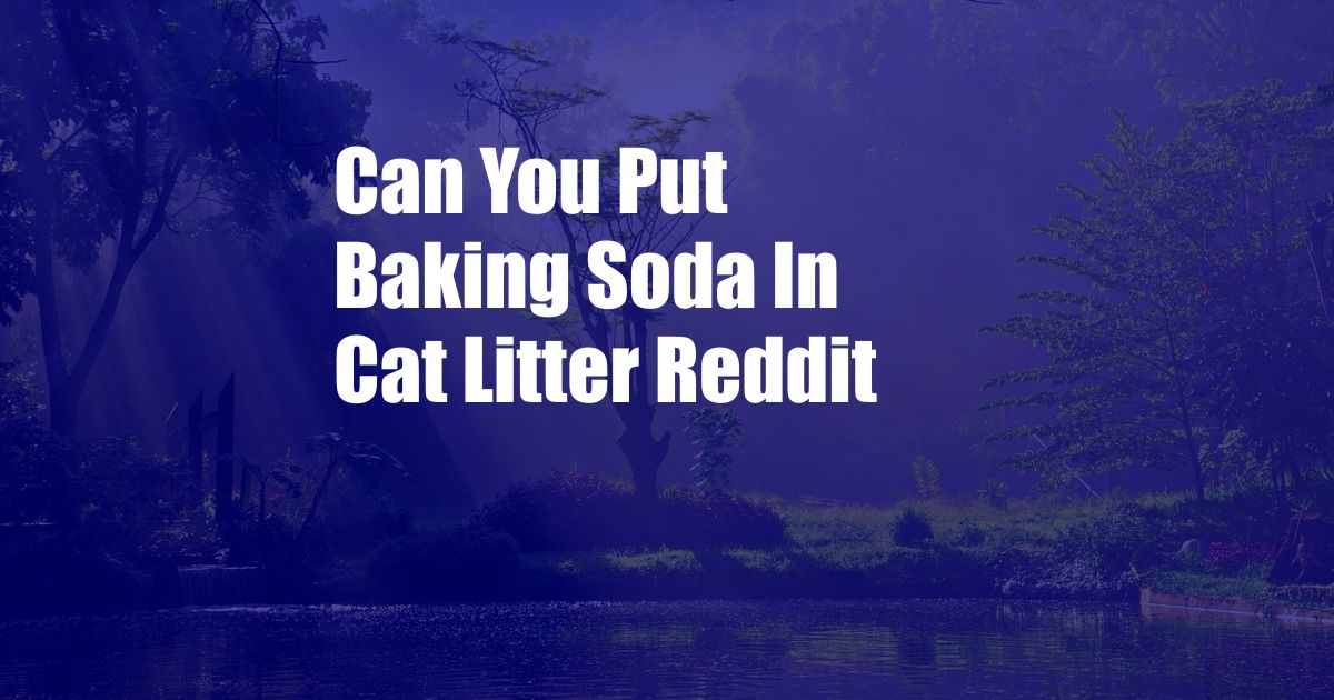 Can You Put Baking Soda In Cat Litter Reddit