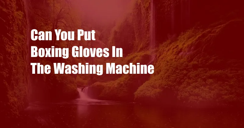 Can You Put Boxing Gloves In The Washing Machine