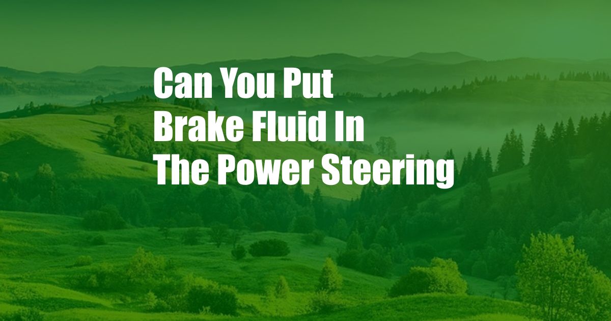 Can You Put Brake Fluid In The Power Steering