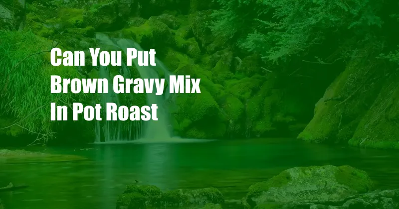 Can You Put Brown Gravy Mix In Pot Roast