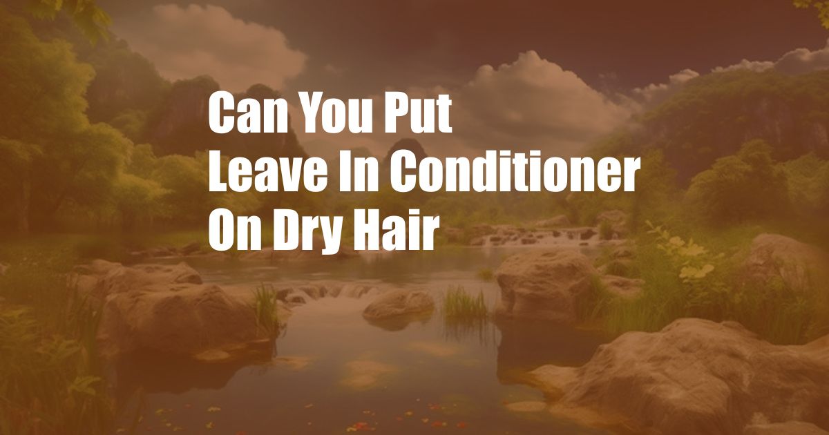 Can You Put Leave In Conditioner On Dry Hair