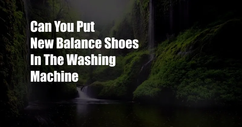 Can You Put New Balance Shoes In The Washing Machine