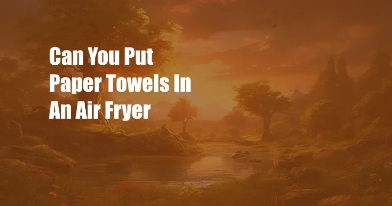 Can You Put Paper Towels In An Air Fryer