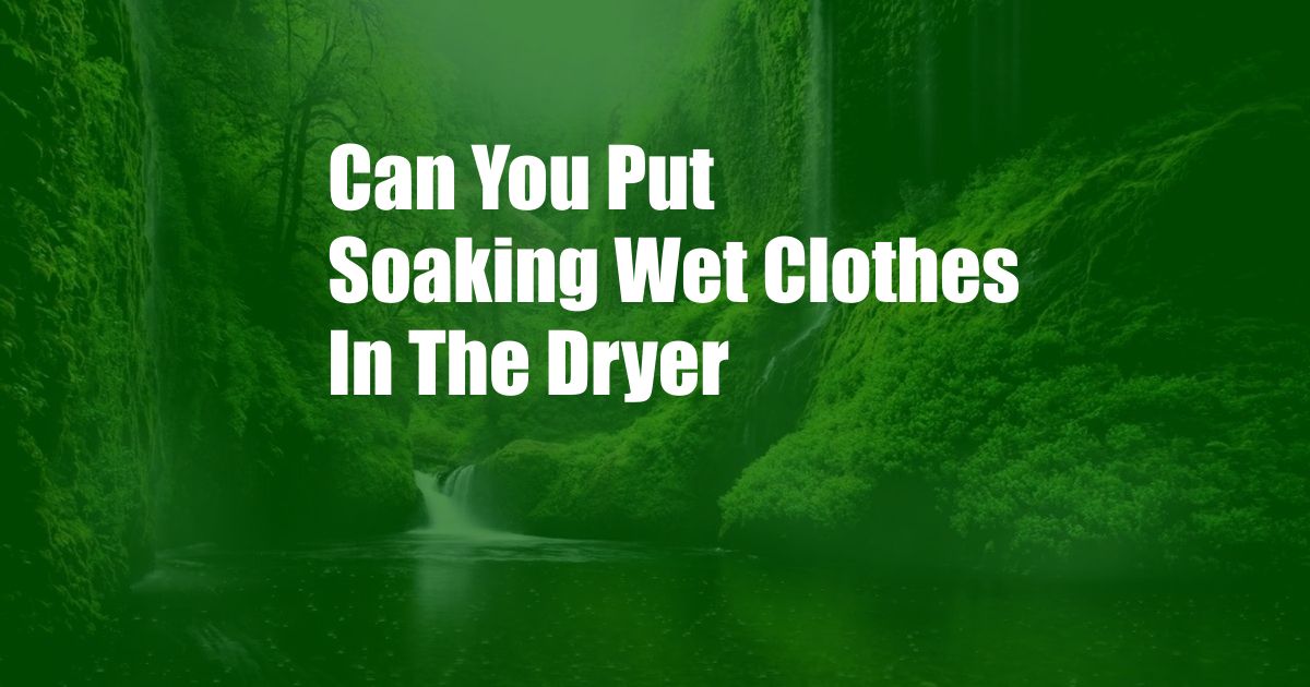 Can You Put Soaking Wet Clothes In The Dryer
