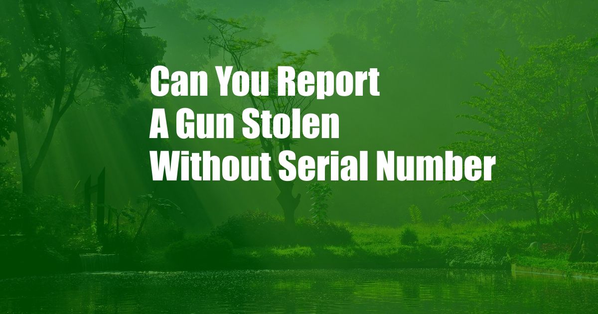 Can You Report A Gun Stolen Without Serial Number