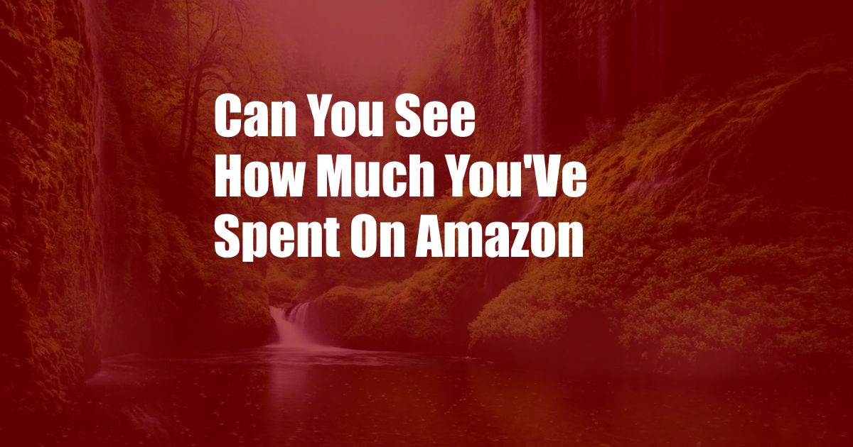Can You See How Much You'Ve Spent On Amazon