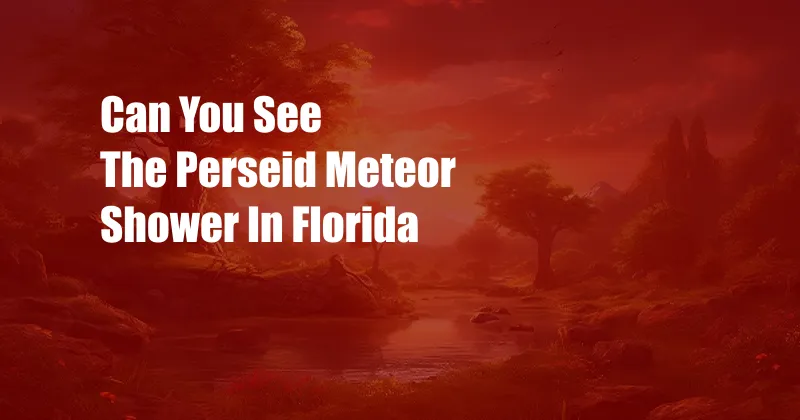 Can You See The Perseid Meteor Shower In Florida