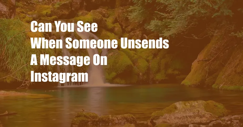 Can You See When Someone Unsends A Message On Instagram