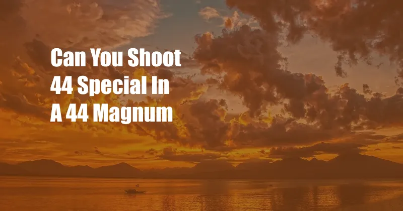 Can You Shoot 44 Special In A 44 Magnum