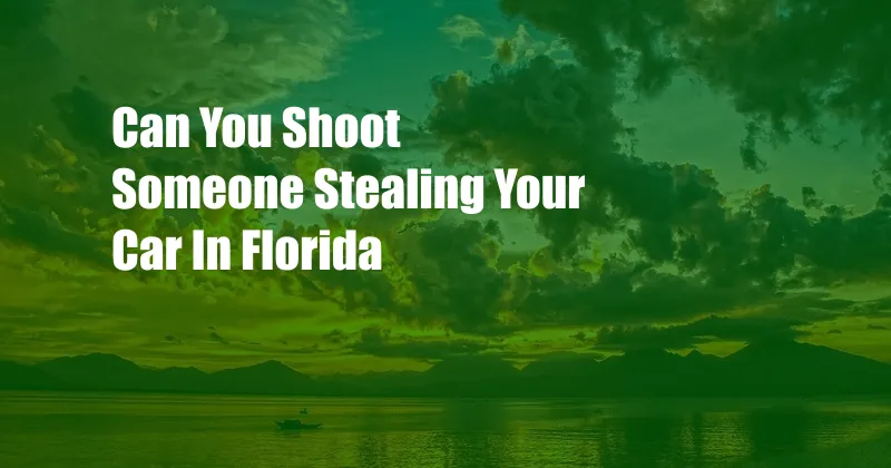 Can You Shoot Someone Stealing Your Car In Florida