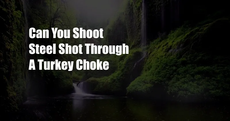 Can You Shoot Steel Shot Through A Turkey Choke