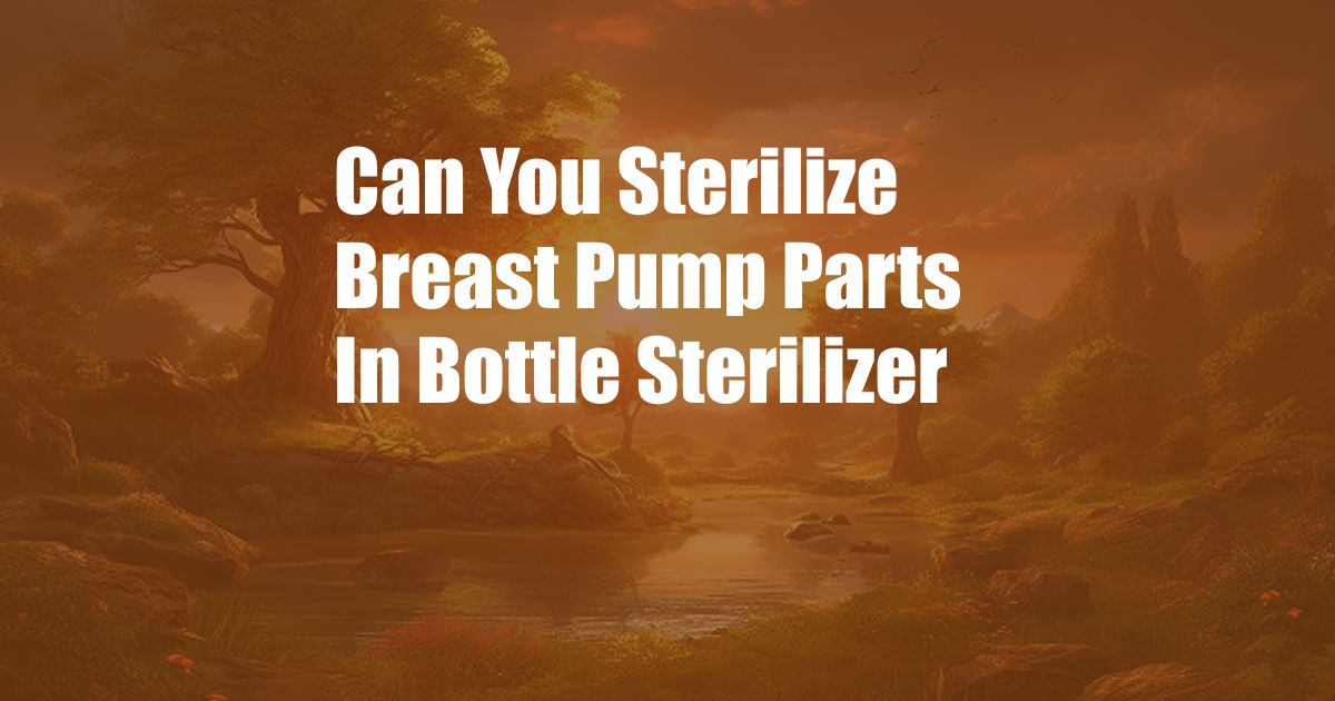 Can You Sterilize Breast Pump Parts In Bottle Sterilizer