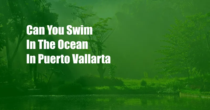 Can You Swim In The Ocean In Puerto Vallarta