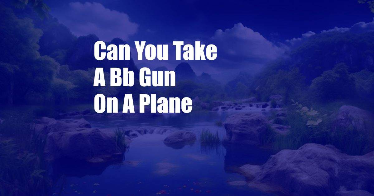 Can You Take A Bb Gun On A Plane