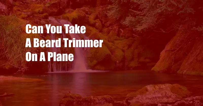 Can You Take A Beard Trimmer On A Plane