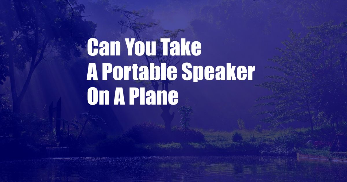 Can You Take A Portable Speaker On A Plane