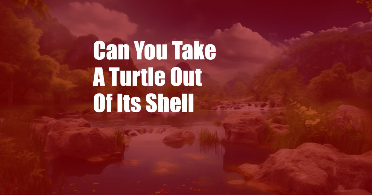 Can You Take A Turtle Out Of Its Shell