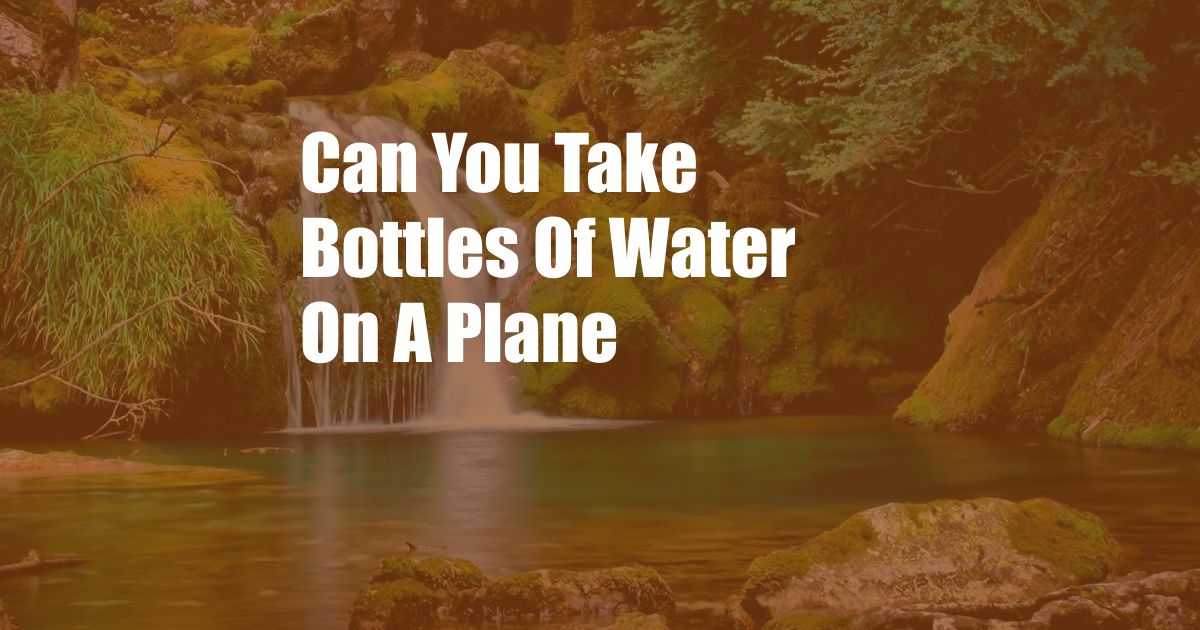 Can You Take Bottles Of Water On A Plane