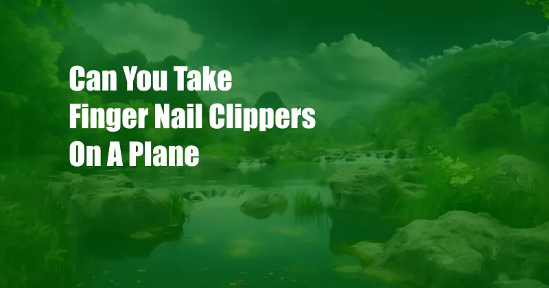 Can You Take Finger Nail Clippers On A Plane