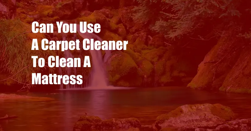 Can You Use A Carpet Cleaner To Clean A Mattress