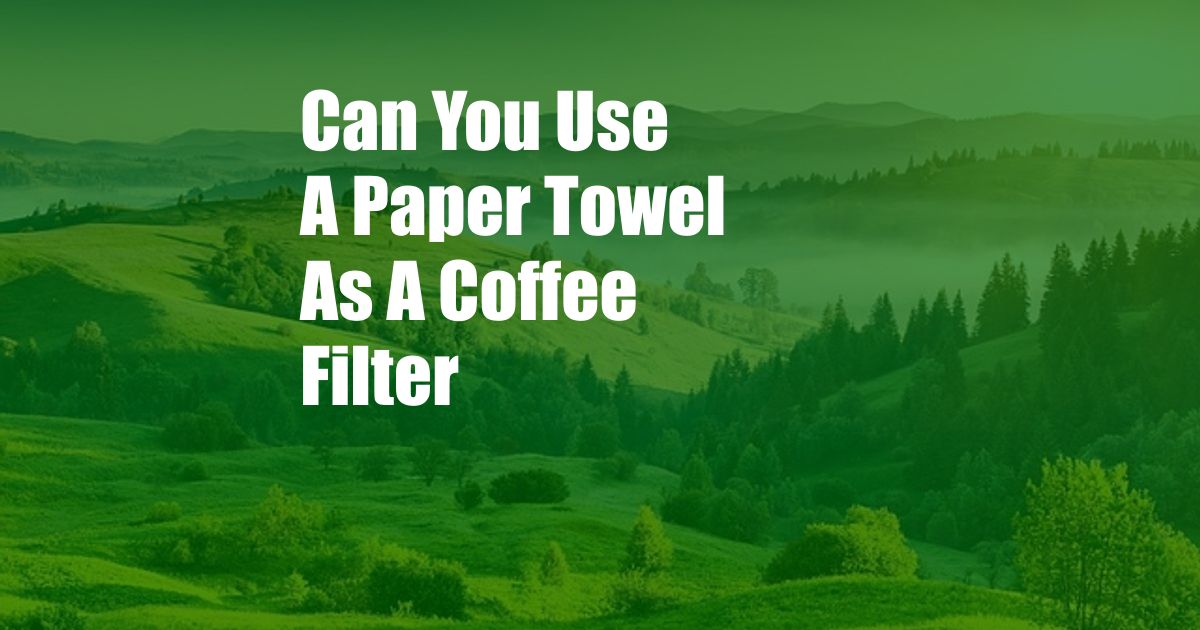 Can You Use A Paper Towel As A Coffee Filter