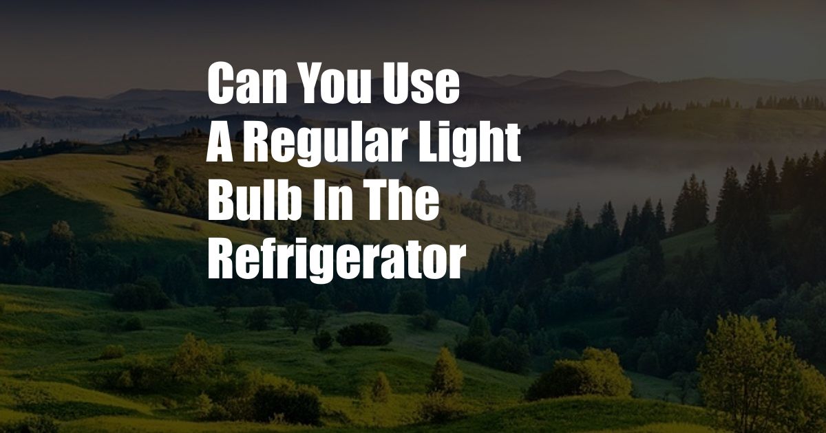 Can You Use A Regular Light Bulb In The Refrigerator