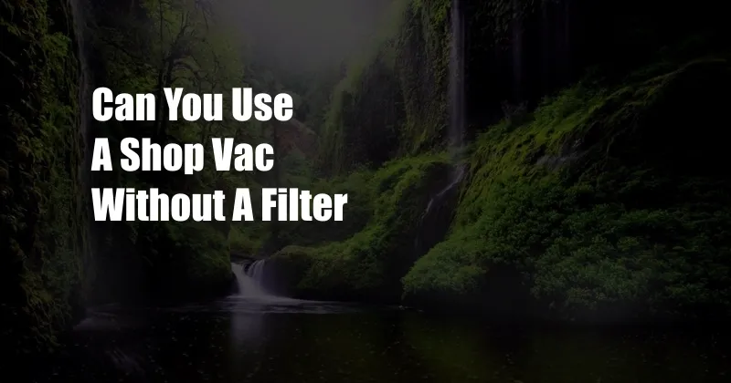 Can You Use A Shop Vac Without A Filter