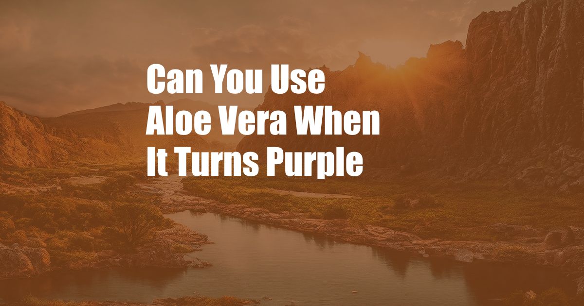 Can You Use Aloe Vera When It Turns Purple