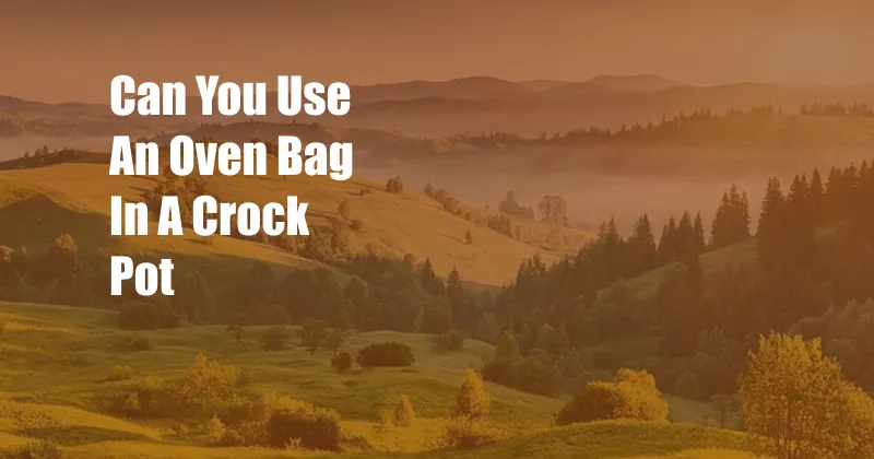 Can You Use An Oven Bag In A Crock Pot