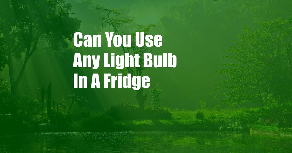 Can You Use Any Light Bulb In A Fridge