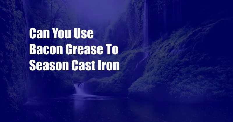 Can You Use Bacon Grease To Season Cast Iron
