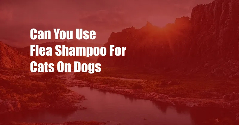 Can You Use Flea Shampoo For Cats On Dogs