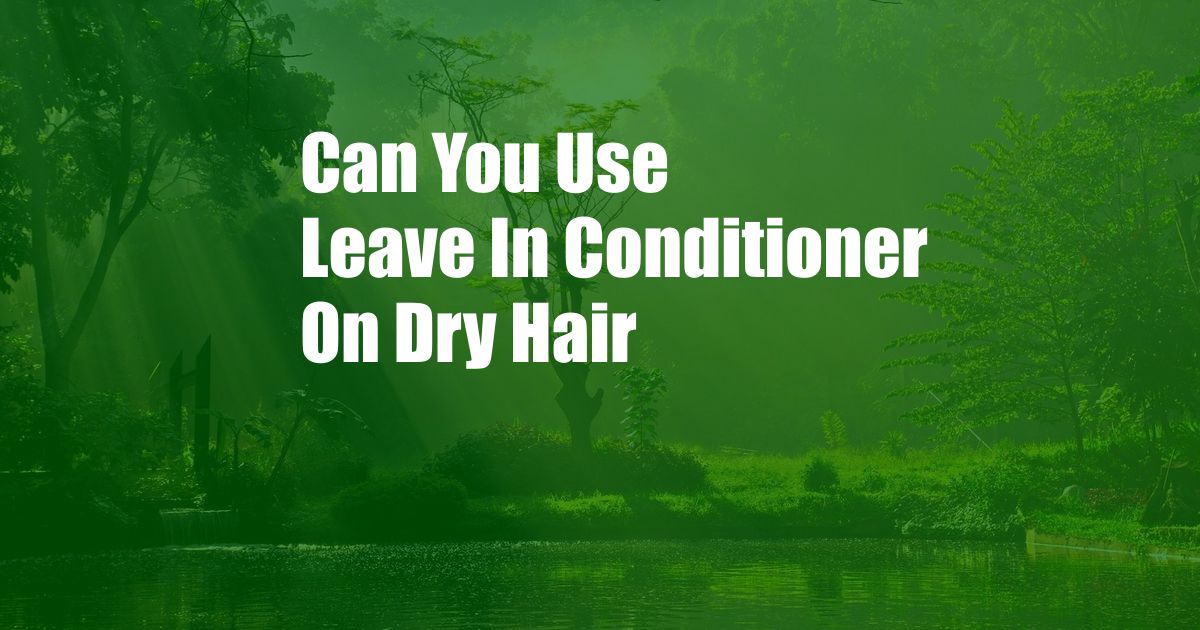 Can You Use Leave In Conditioner On Dry Hair