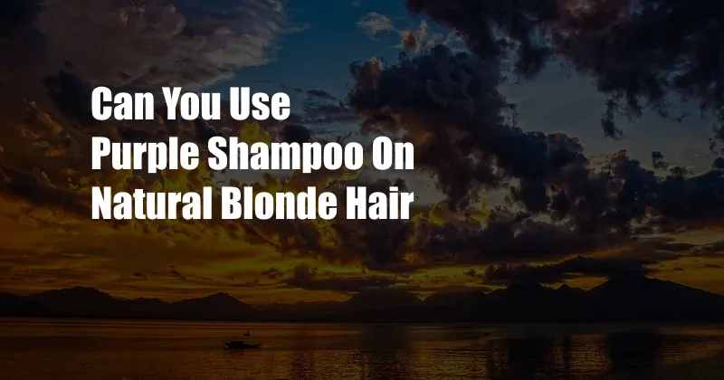 Can You Use Purple Shampoo On Natural Blonde Hair