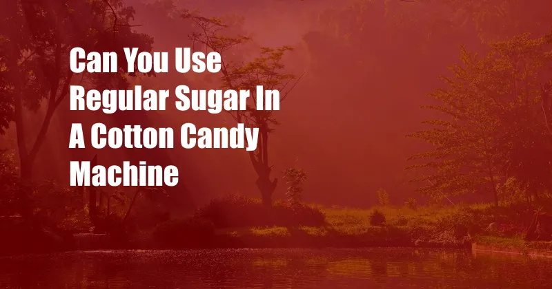 Can You Use Regular Sugar In A Cotton Candy Machine