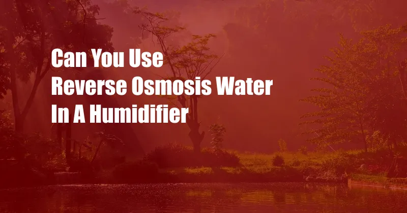 Can You Use Reverse Osmosis Water In A Humidifier