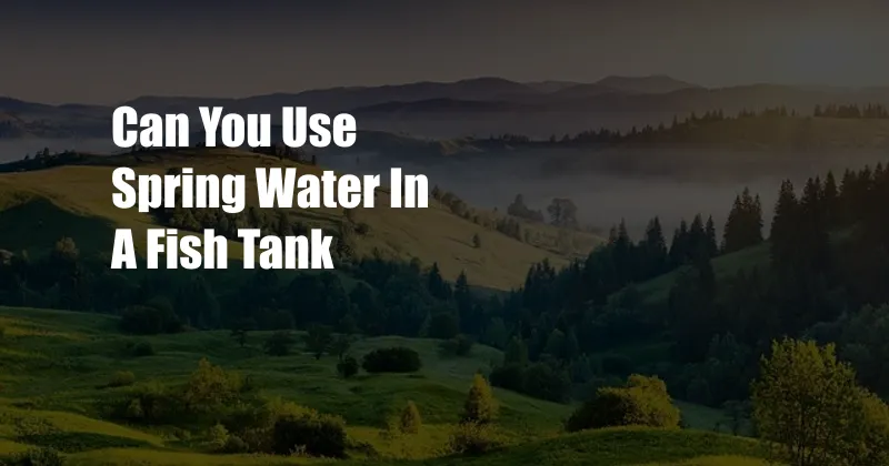 Can You Use Spring Water In A Fish Tank