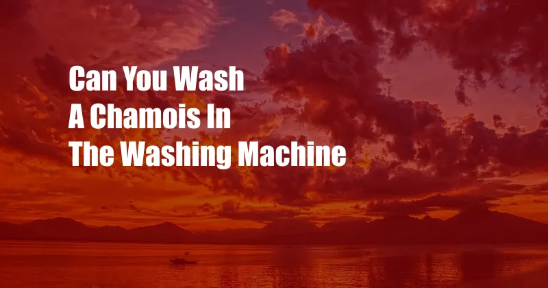 Can You Wash A Chamois In The Washing Machine