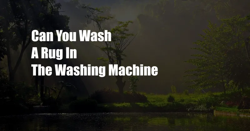 Can You Wash A Rug In The Washing Machine