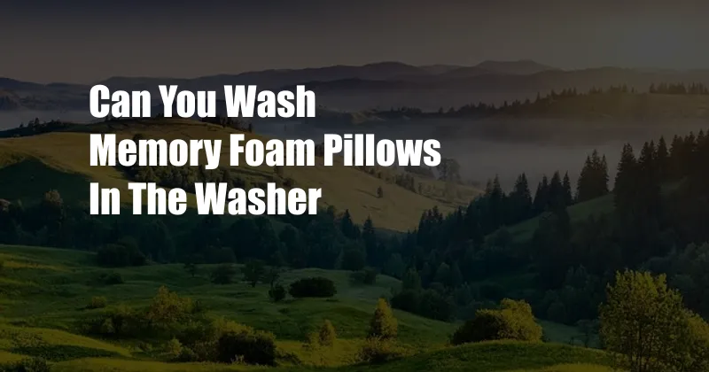Can You Wash Memory Foam Pillows In The Washer