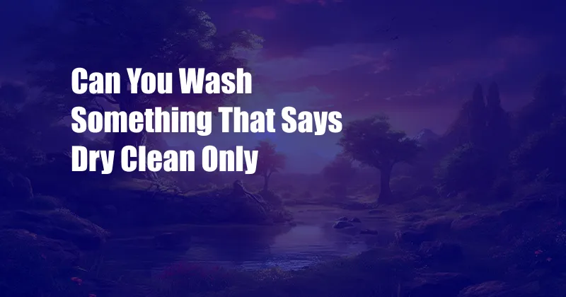 Can You Wash Something That Says Dry Clean Only