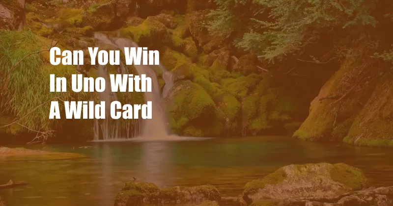 Can You Win In Uno With A Wild Card