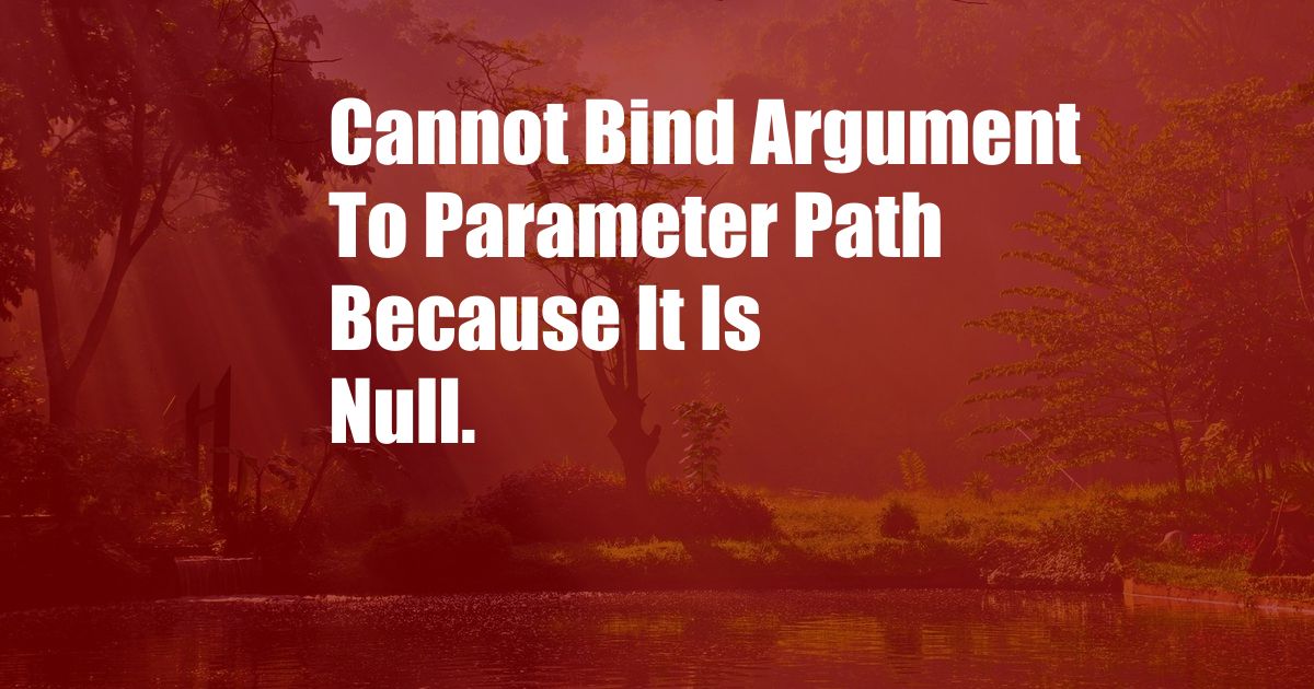 Cannot Bind Argument To Parameter Path Because It Is Null.