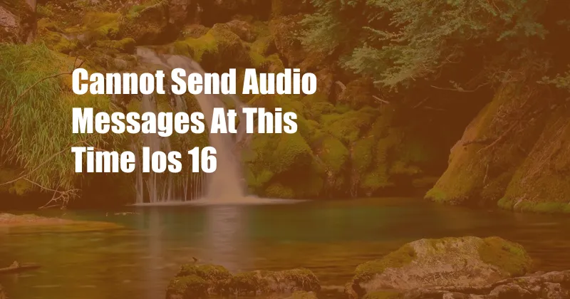 Cannot Send Audio Messages At This Time Ios 16