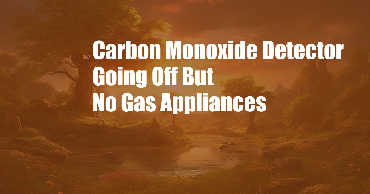 Carbon Monoxide Detector Going Off But No Gas Appliances